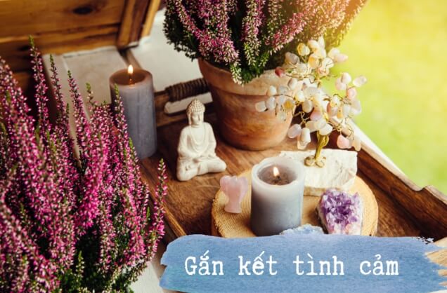 bua-yeu-dong-thap_1
