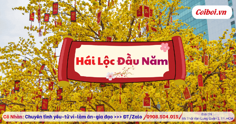 Hái Lộc Đầu Năm Là Gì? Ý Nghĩa Và Cách Hái Lộc Đúng Phong Tục