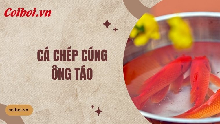 Hướng dẫn chọn và thả cá chép cúng ông Công ông Táo